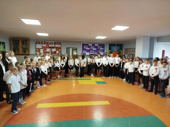 70a21113-18cc-4d28-a083-61634d7fe11e