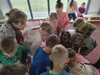 c49178b7-efe3-439d-8a88-bd9f856725c2