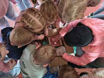 8e4a0bf7-8e6e-4dd1-a5e2-9563cbe7c2bf