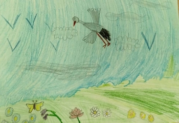 129f1ac9-0a40-4ab8-b2c7-09f400e17be4