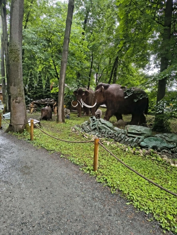 1000027653
