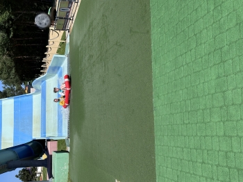 IMG_7131.jpeg