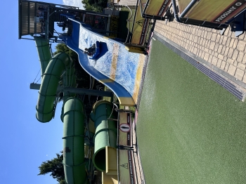 IMG_7087.jpeg