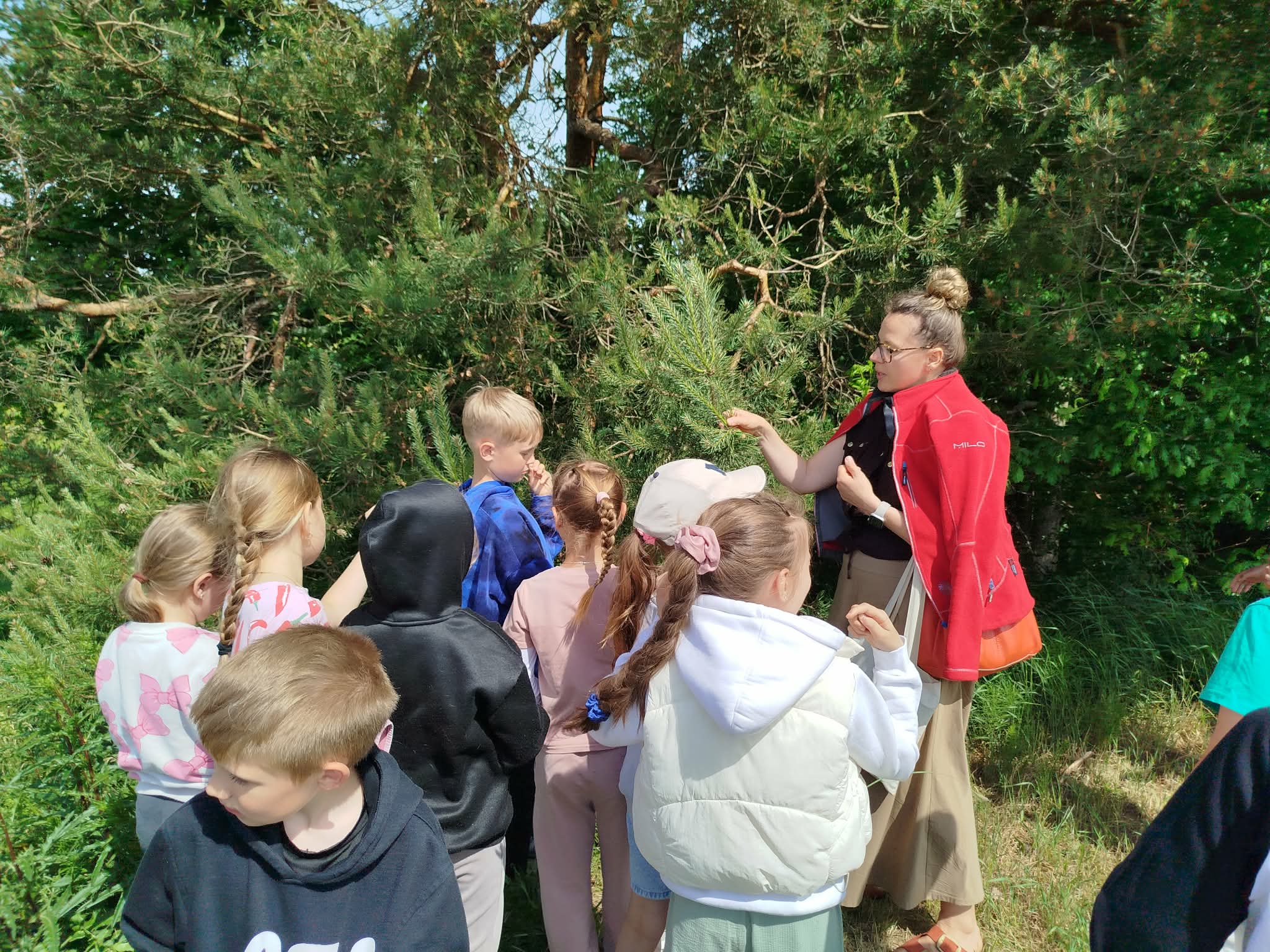 Warsztaty przyrodniczo - ornitologiczne nagrodą za konkursowy sukces !